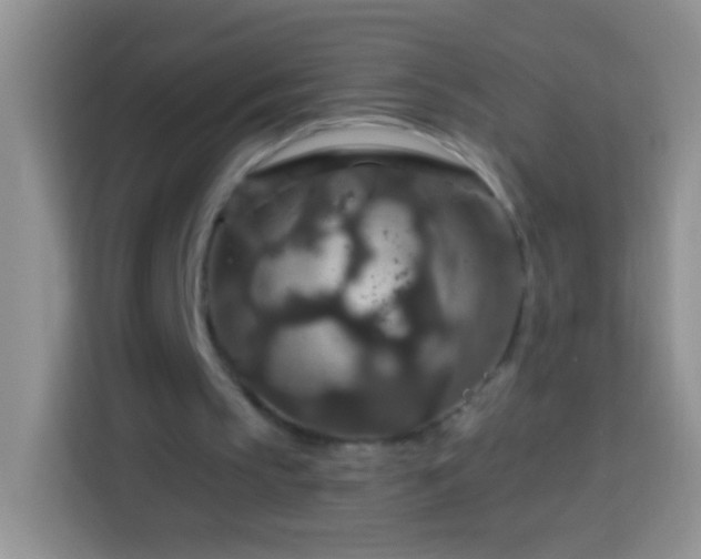 X0000113880145200910011139