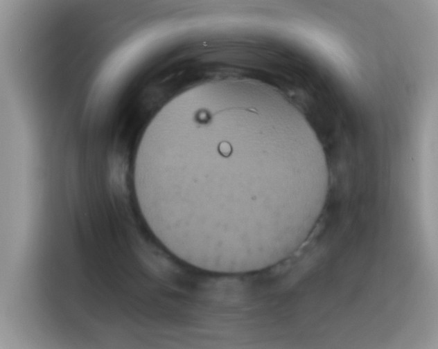 X0000113880146200910011139