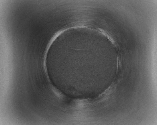 X0000113880147200910011139