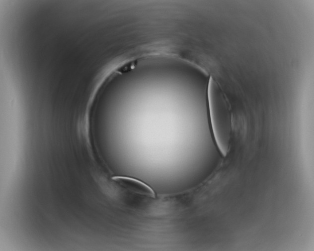 X0000113880148200910011139