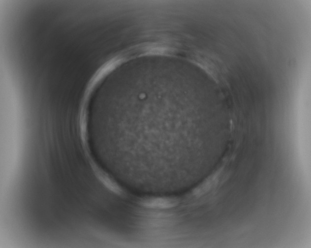 X0000113880149200910011139