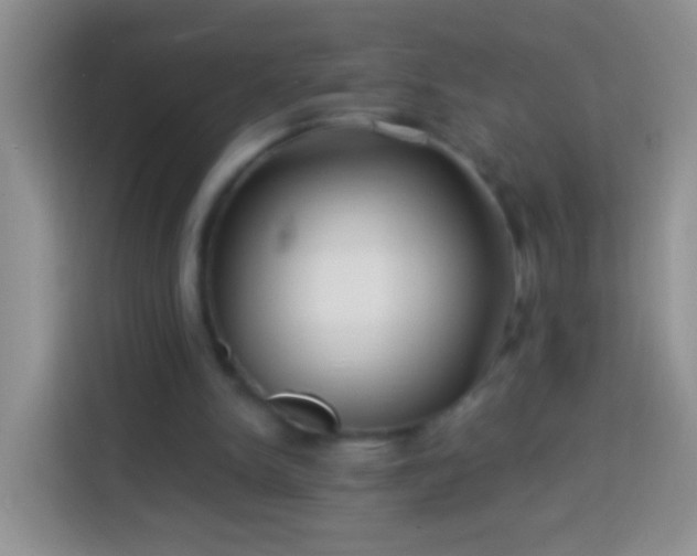 X0000113880150200910011139