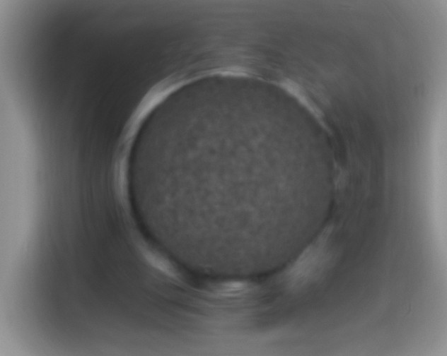 X0000113880151200910011139