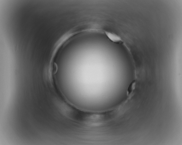 X0000113880152200910011139