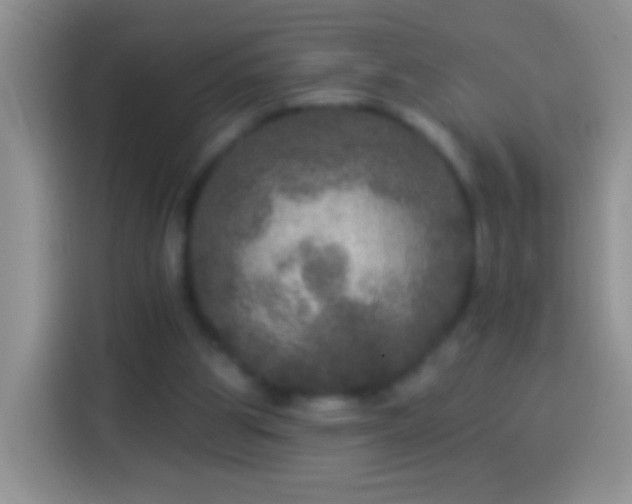 X0000113880153200910011139