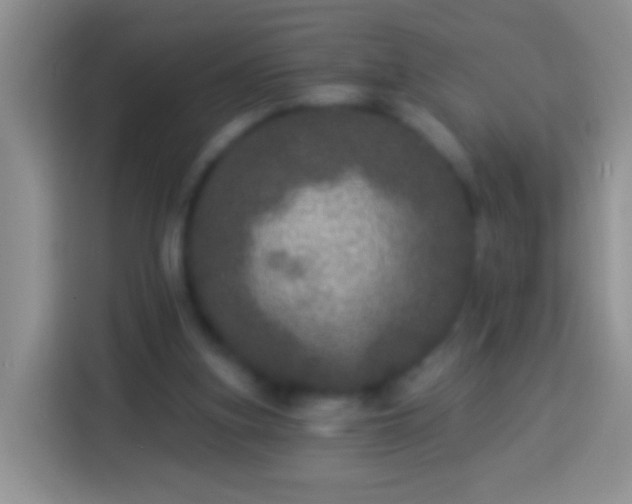 X0000113880155200910011139