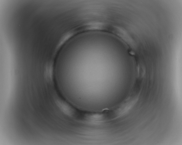 X0000113880156200910011139