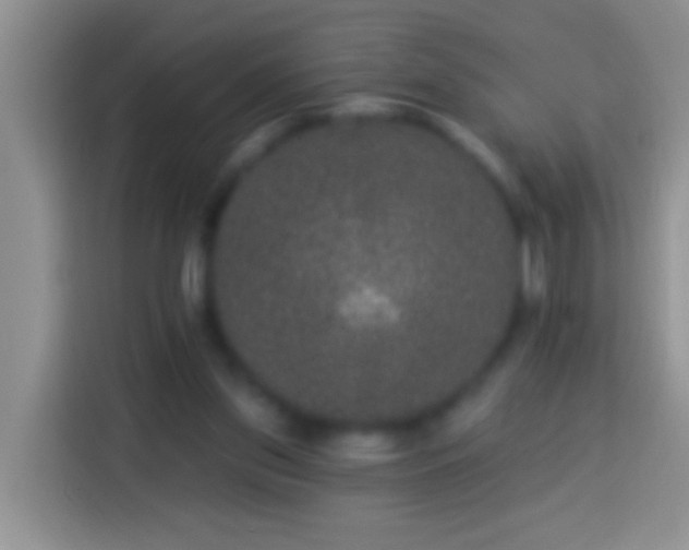 X0000113880157200910011139