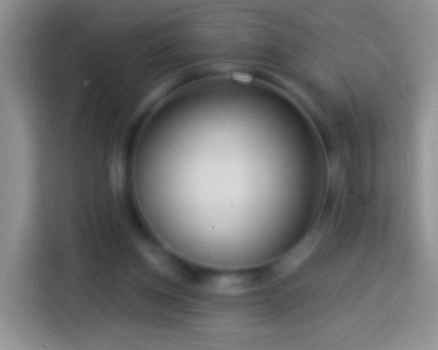 X0000113880158200910011139