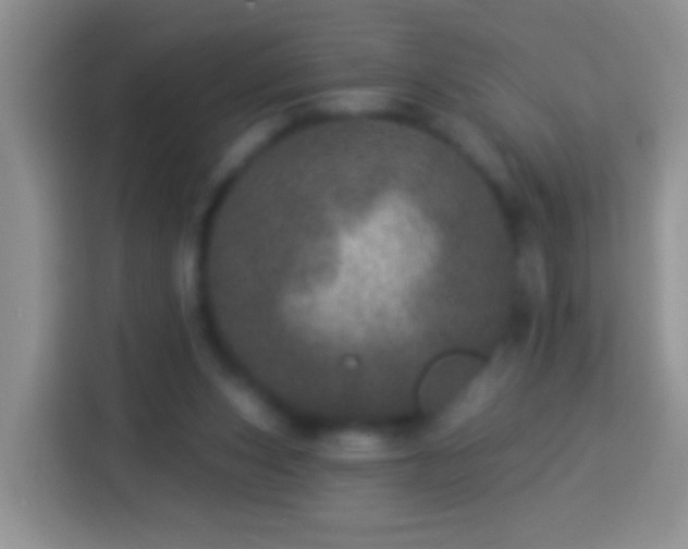 X0000113880159200910011139