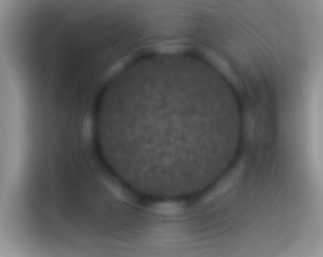 X0000113880161200910011139