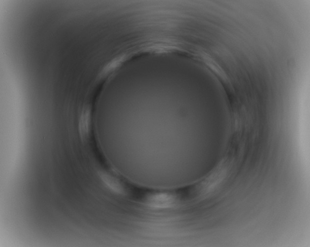 X0000113880163200910011139