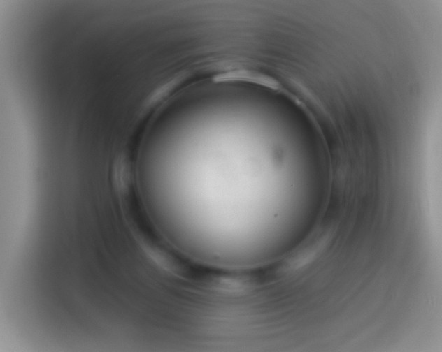 X0000113880164200910011139