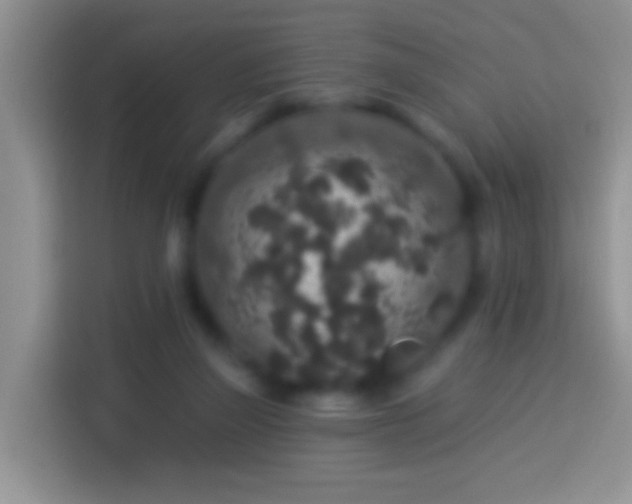 X0000113880165200910011139