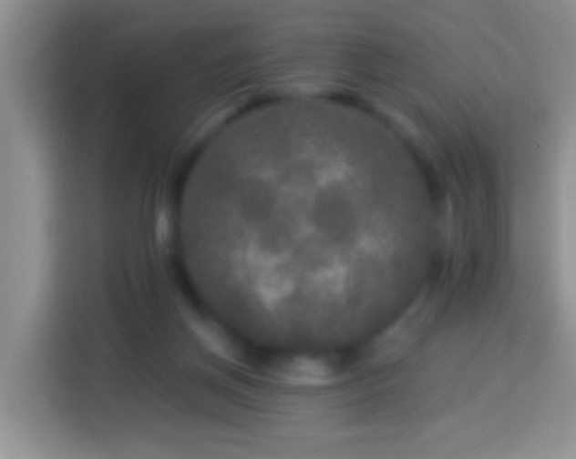 X0000113880166200910011139