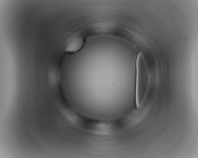 X0000113880168200910011139