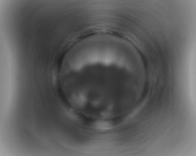 X0000113880169200910011139