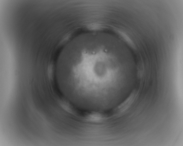 X0000113880171200910011139