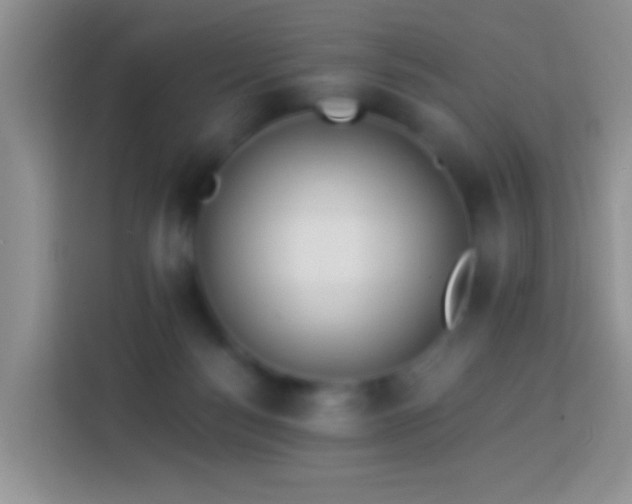 X0000113880172200910011139