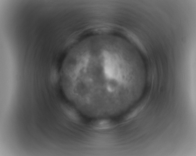 X0000113880173200910011139