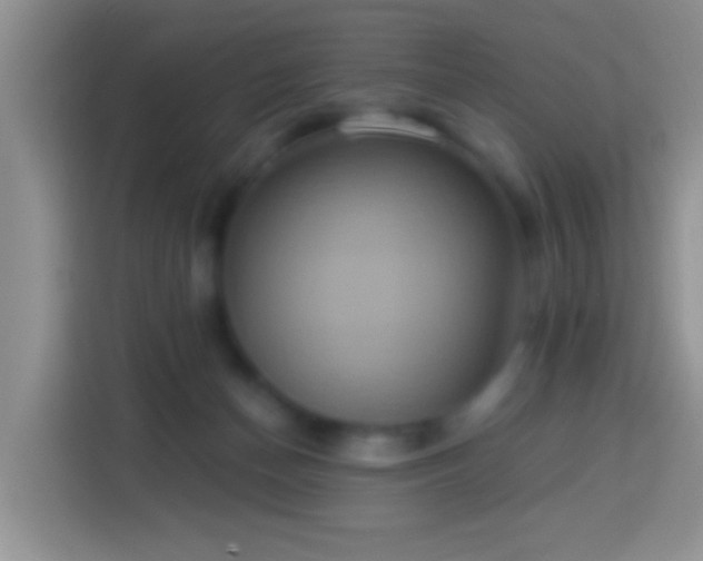 X0000113880174200910011139