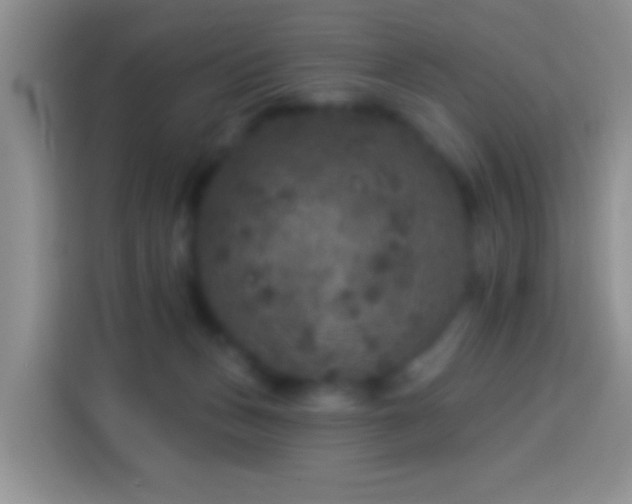 X0000113880175200910011139