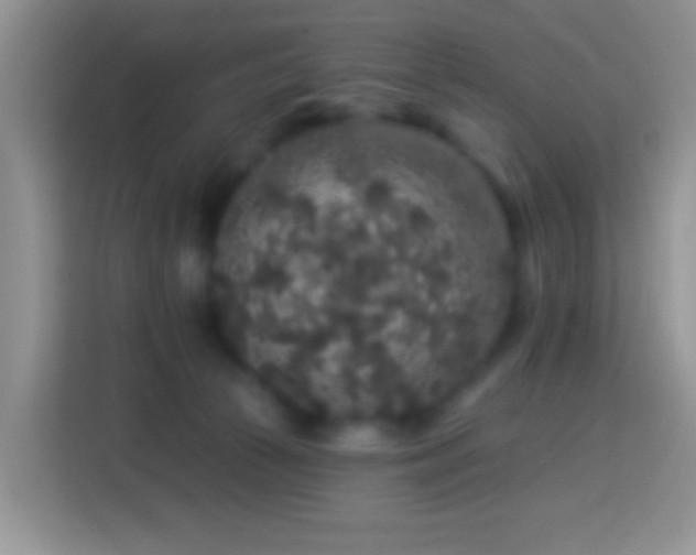 X0000113880177200910011139