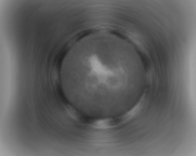 X0000113880178200910011140