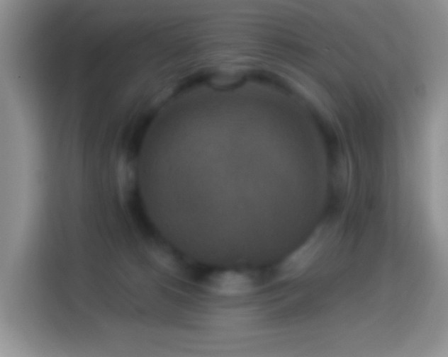 X0000113880180200910011140