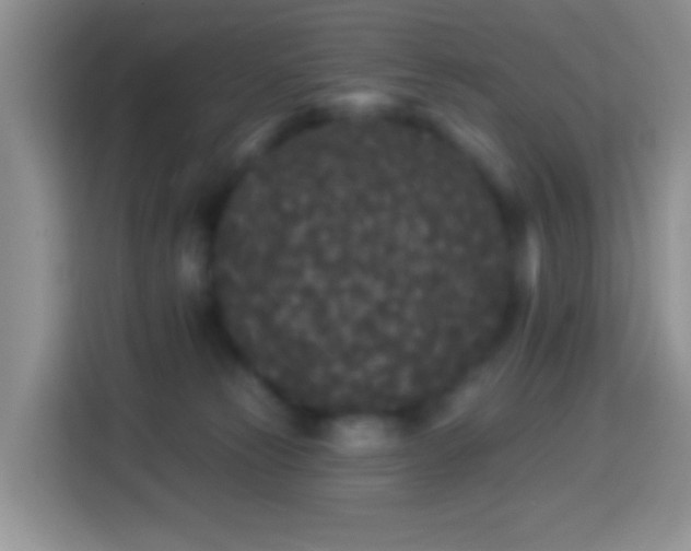 X0000113880181200910011140