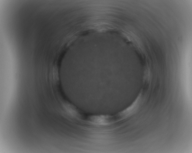 X0000113880182200910011140