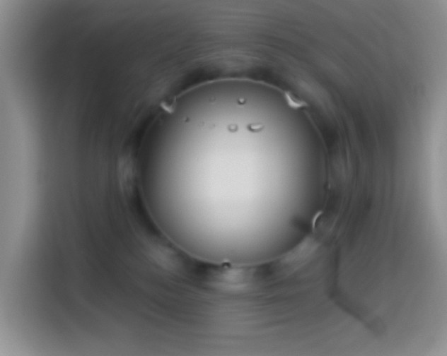 X0000113880184200910011140