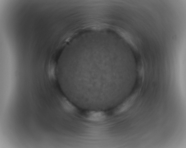 X0000113880185200910011140