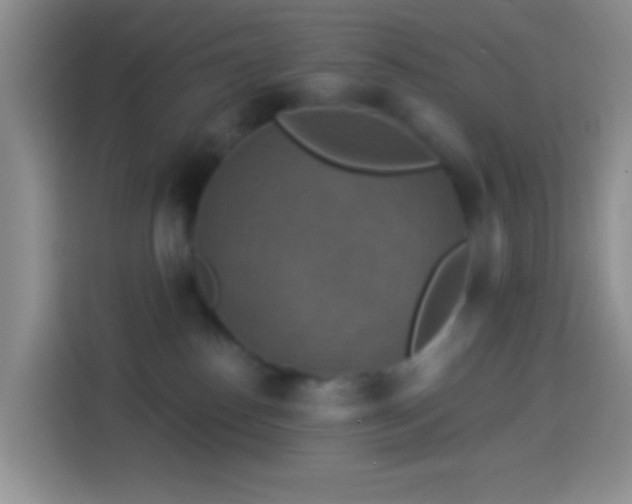 X0000113880186200910011140