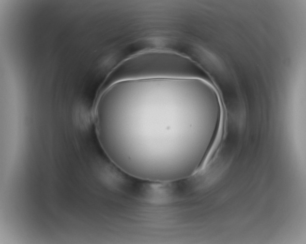 X0000113880188200910011140