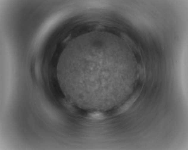 X0000113880189200910011140