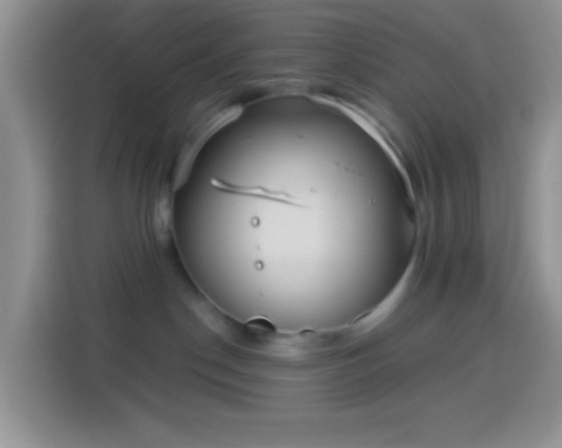 X0000113880190200910011140