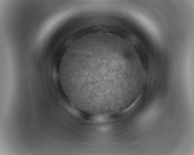 X0000113880191200910011140