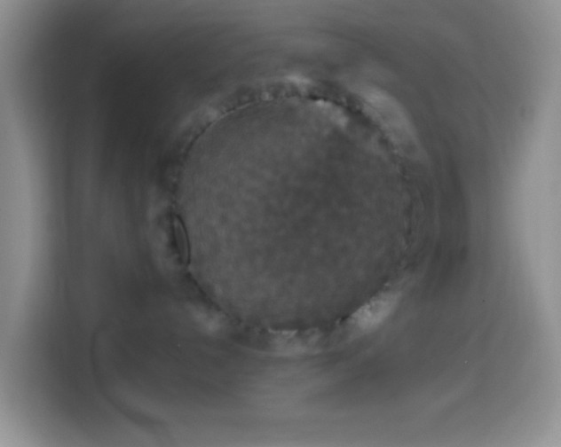 X0000113880192200910011140