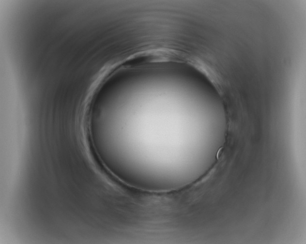 X0000113880193200910011139