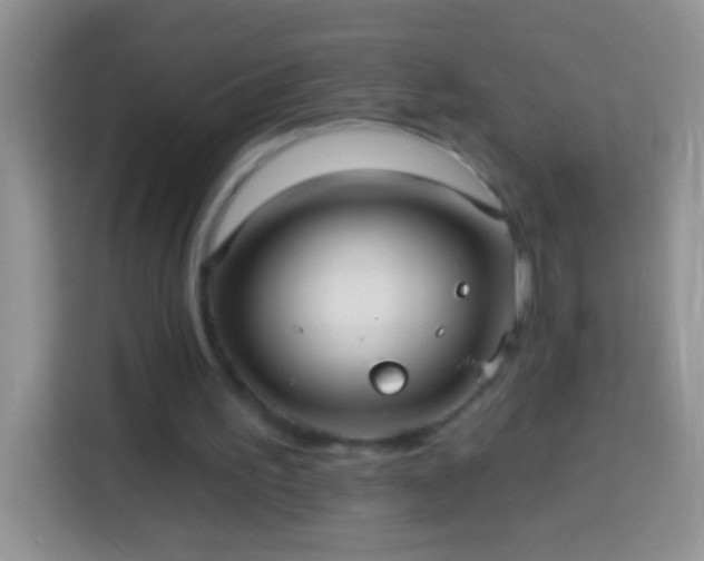 X0000113880195200910011139