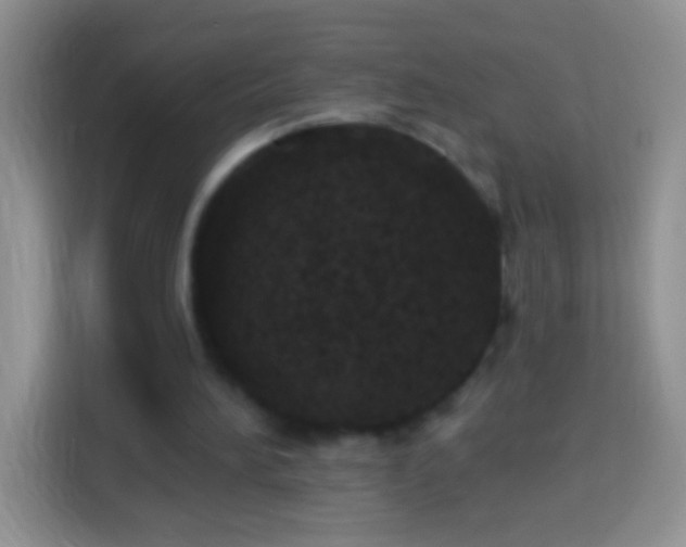 X0000113880196200910011139