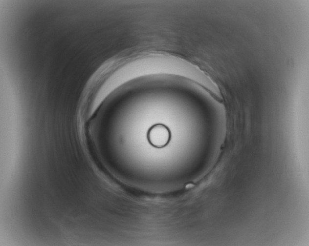 X0000113880197200910011139