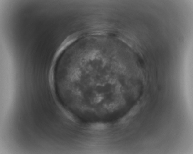 X0000113880198200910011139