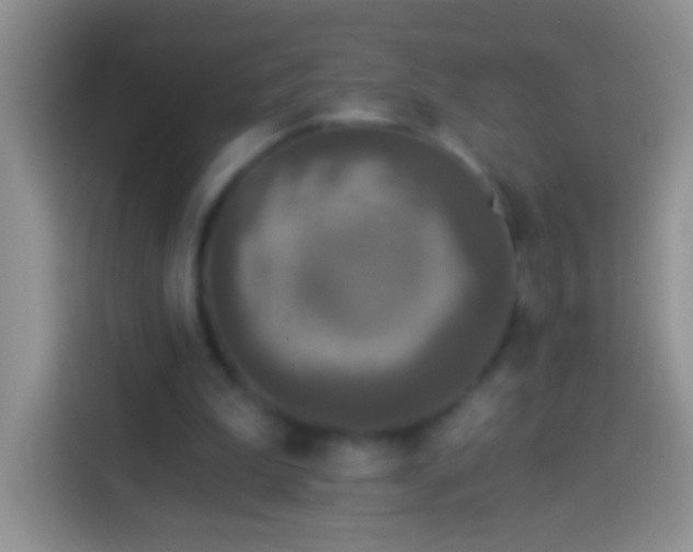 X0000113880199200910011139