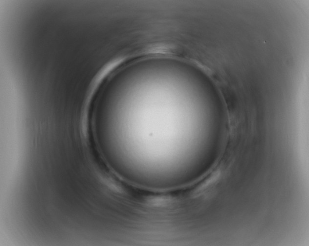 X0000113880200200910011139