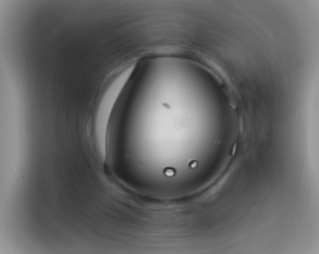 X0000113880201200910011139