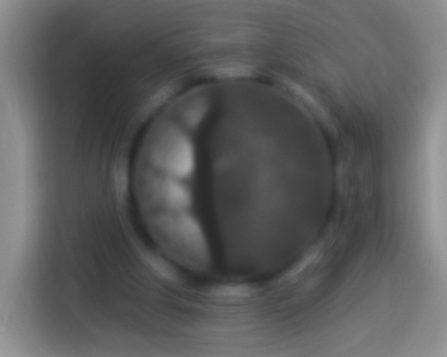 X0000113880202200910011139