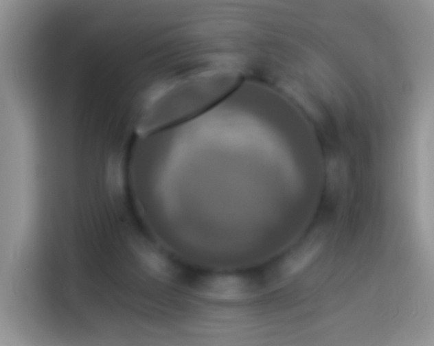 X0000113880203200910011139