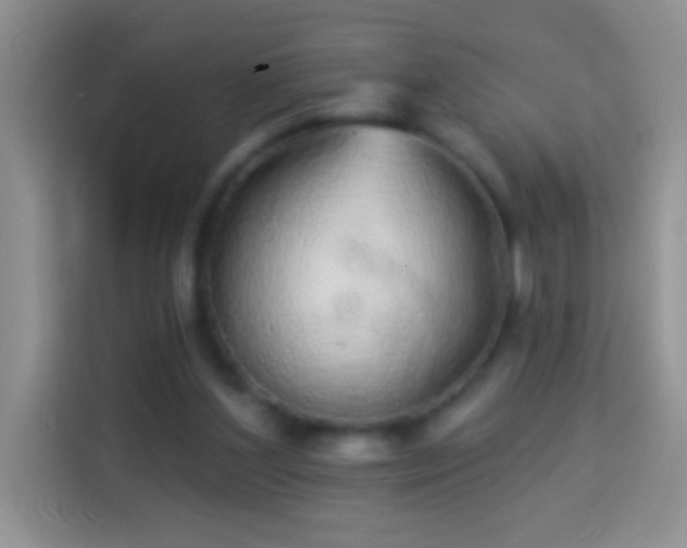 X0000113880204200910011139